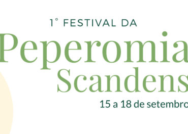 Primeiro Festival da Peperomia na Esalflores